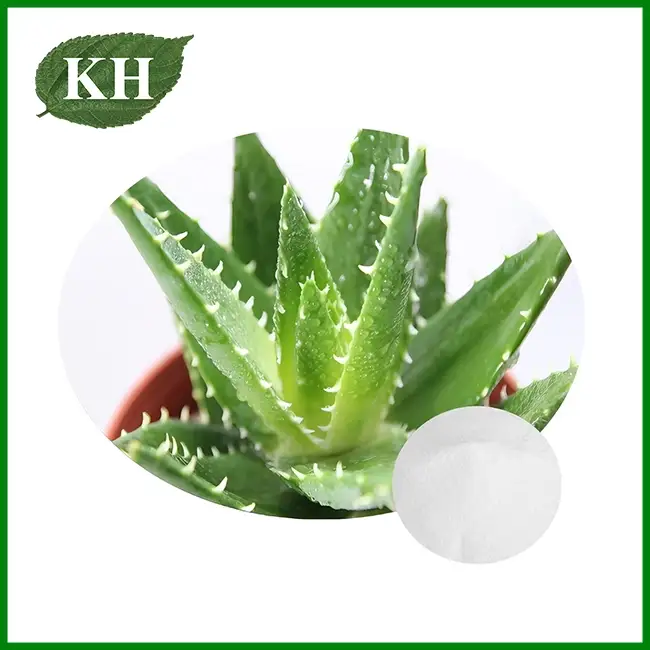 Aloe Vera Gel Freeze-Dried Powder